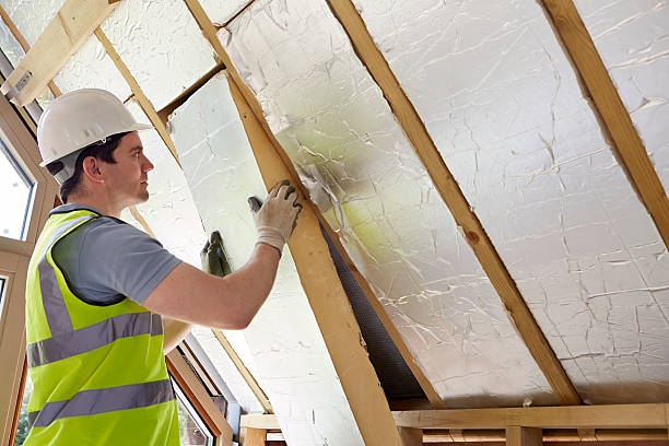 Best Insulation Installation Services in Gillett, WI